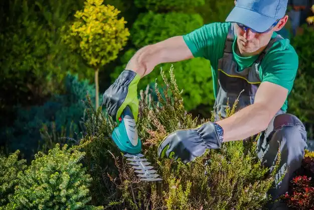 landscaping services Pinconning